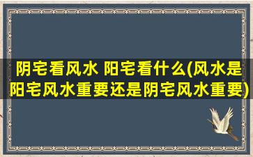 阴宅看风水 阳宅看什么(风水是阳宅风水重要还是阴宅风水重要)
